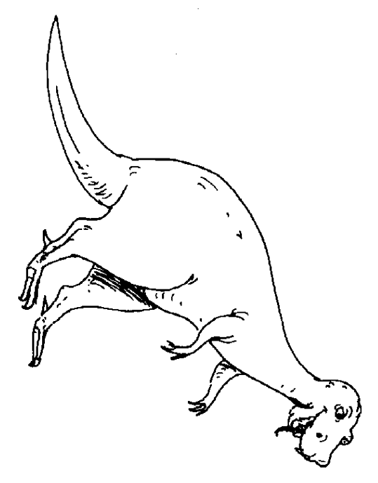 Dinozaury kolorowanki